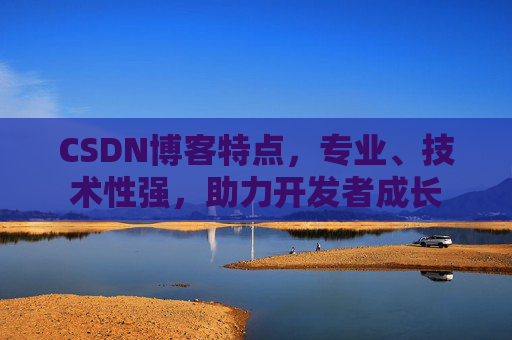 CSDN博客特点，专业、技术性强，助力开发者成长