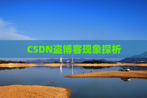CSDN盗博客现象探析